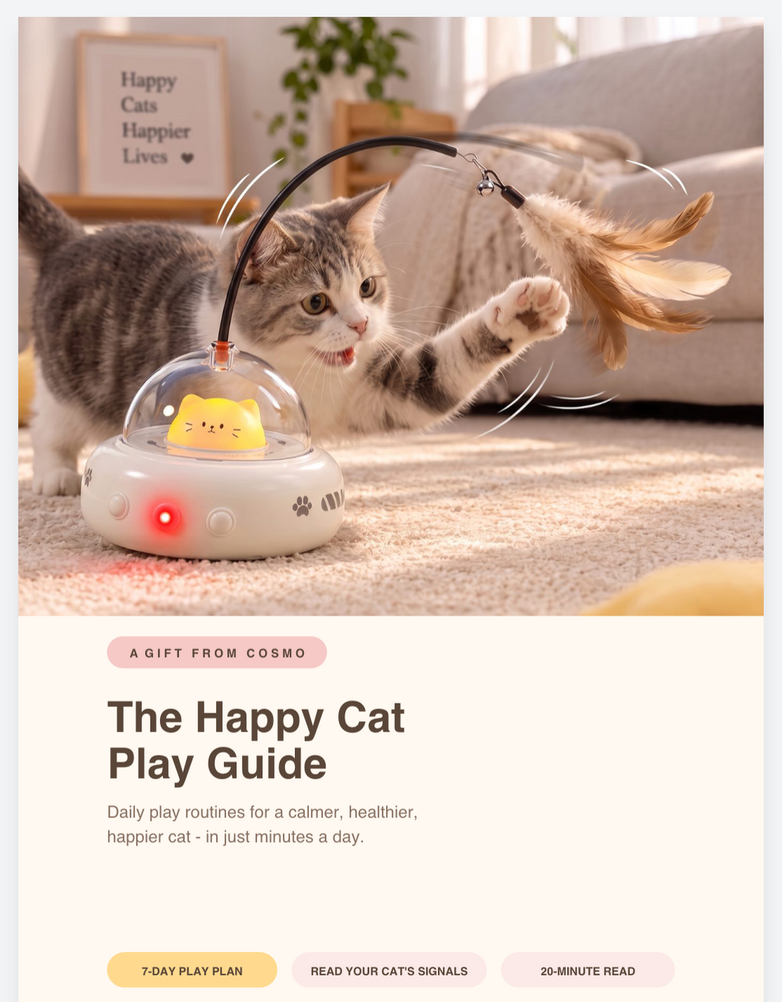 The Happy Cat Play Guide